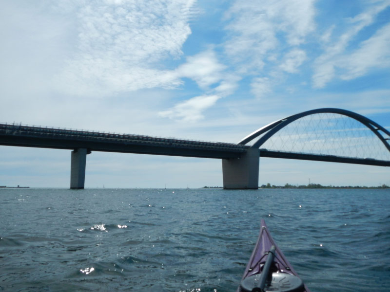 Stacks Image 1025