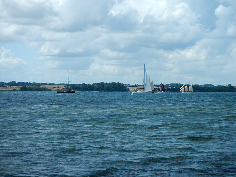 Stacks Image 1041