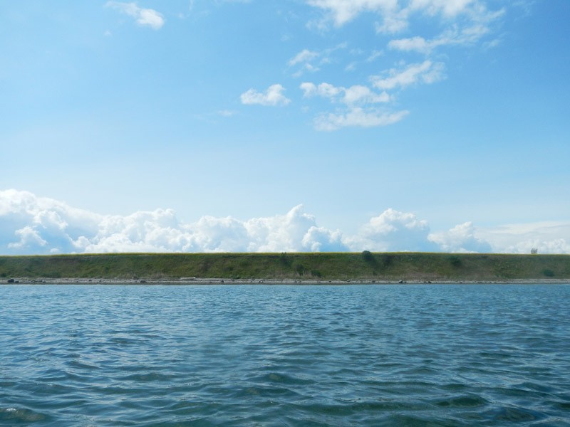 Stacks Image 1039