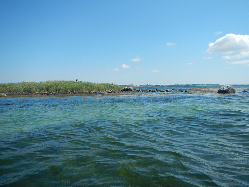 Stacks Image 970